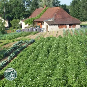 Vu du potager